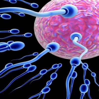 Are yellow 5 sperm count not Yellow 5 sperm count really. And